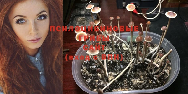 мяу мяу мука Балабаново