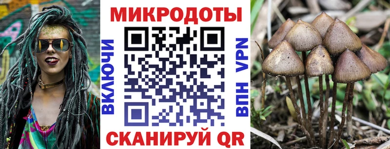 ОМГ ОМГ ссылка  Западная Двина  Псилоцибиновые грибы GOLDEN TEACHER 